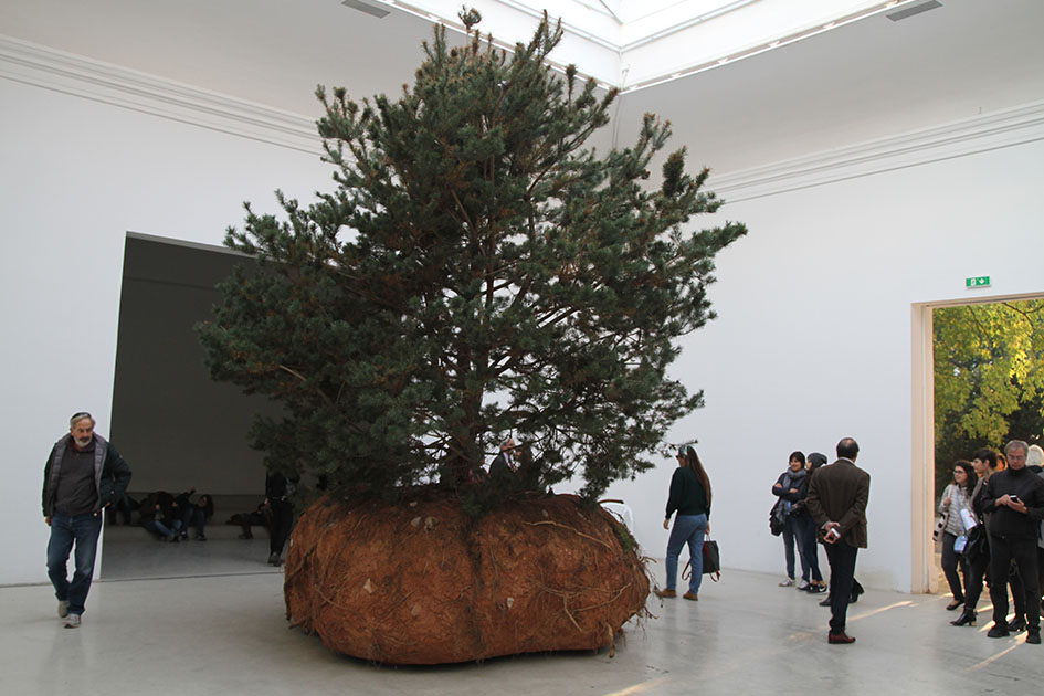 Pavillon Français Biennale de Venise 2015 - Celeste Boursier-Mougenot